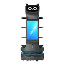 BellaBot Pro